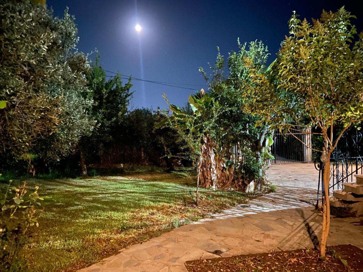 Cottage House,With Big Garden & Lawn Amaliada Luaran gambar