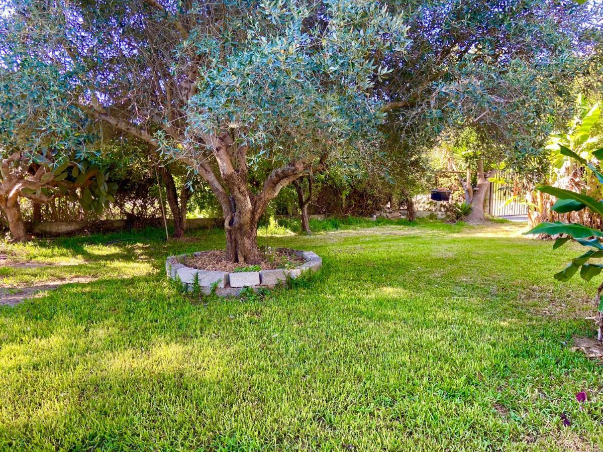 Cottage House,With Big Garden & Lawn Amaliada Luaran gambar