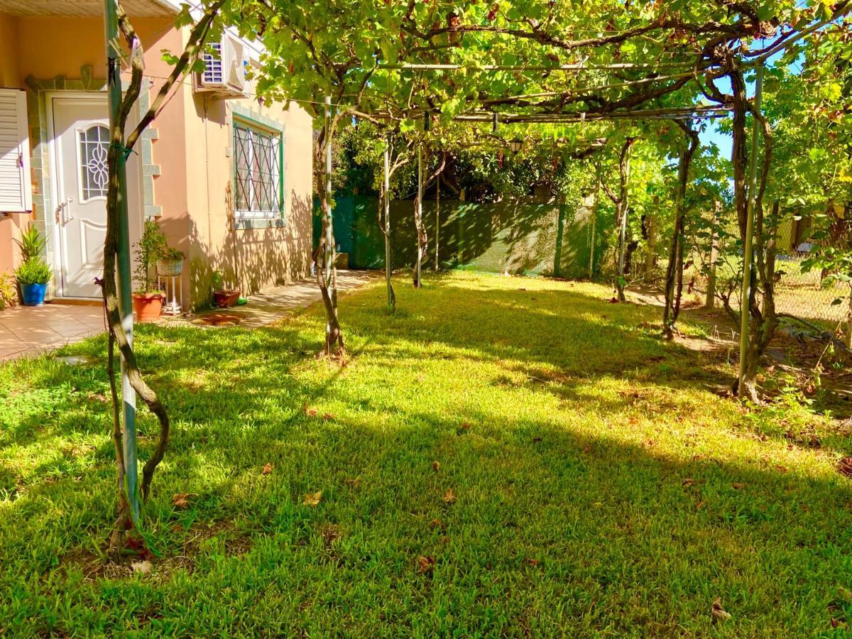 Cottage House,With Big Garden & Lawn Amaliada Luaran gambar