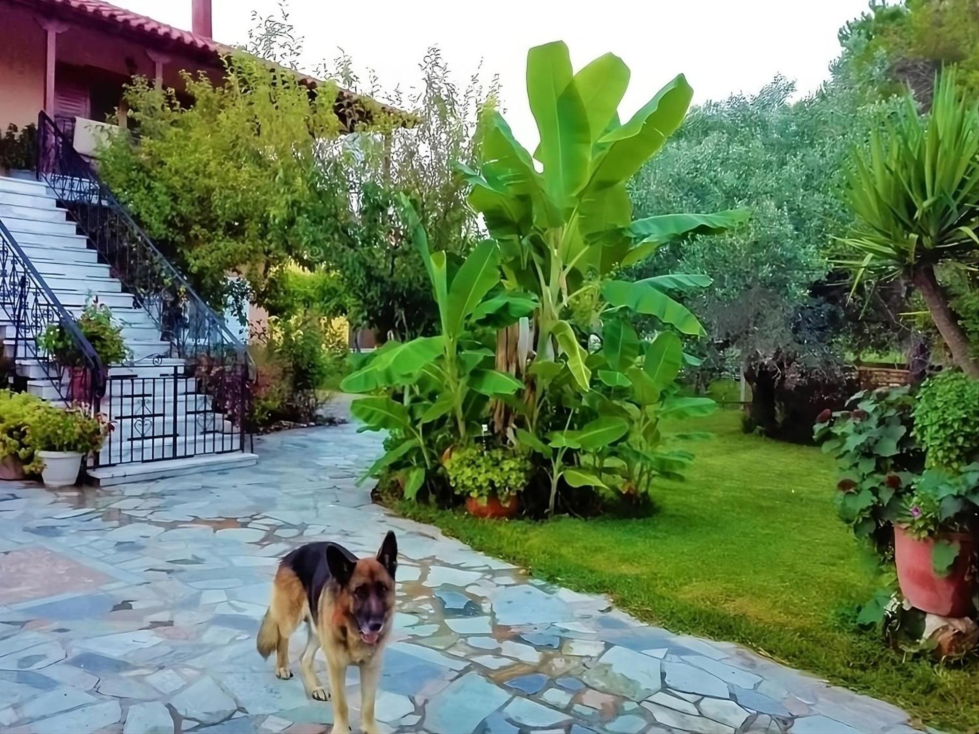 Cottage House,With Big Garden & Lawn Amaliada Luaran gambar